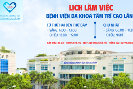 Lịch làm việc tuần 1 từ ngày 06/01/2025 - 12/01/2025