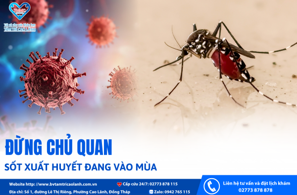 SỐT XUẤT HUYẾT ĐANG VÀO MÙA – ĐỪNG CHỦ QUAN!