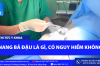 U NANG BÃ ĐẬU LÀ GÌ, CÓ NGUY HIỂM KHÔNG?