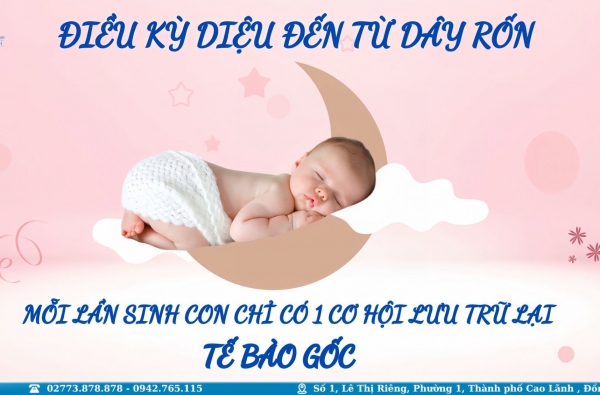 LƯU GIỮ TẾ BÀO GỐC - KHOẢN ĐẦU TƯ XANH CHO TƯƠNG LAI  HỒI SINH SỰ SỐNG TỪ TẾ BÀO GỐC