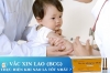 VẮC XIN LAO (BGCG) THỰC HIỆN KHI NÀO LÀ TỐT NHẤT